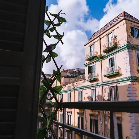 Gg-grow - S. Brigida Gæstehus